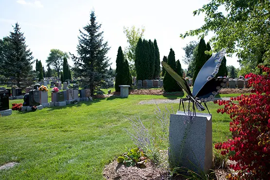 Le Puits des souhaits