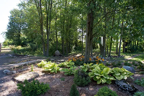 La Clairière du souvenir