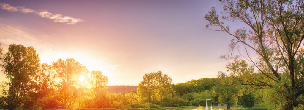 Liturgie commémorative virtuelle pour célébrer la mémoire de ceux qui vous sont chers