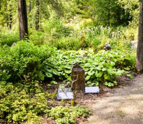 1-D55-1590-Les-Sentiers-5x7