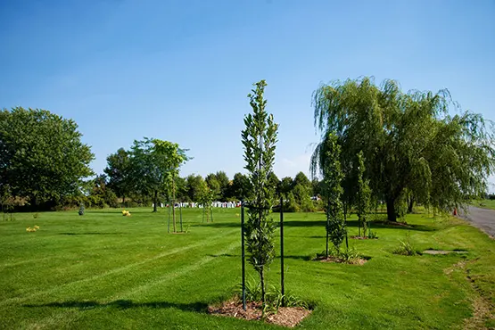 Les Jardins des arbres commémoratifs